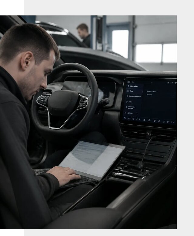Русификация автомобилей BYD под ключ для всех моделей в Петропавловске-Камчатском